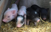 Le rêve d’enfant d’Axelle est devenu réalité