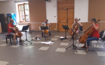 Un 15ÈME FESTIVAL pour VIOLONCELLES EN FOLIE