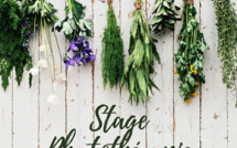 Nos amies les plantes 