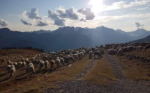 La 2 ème dauphine de miss France agricole 2021, participe à un concours photo