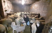 Rencontre avec notre 2 ème dauphine de miss agricole dans sa bergerie 