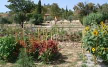 Des stages d’oléiculture à Manosque