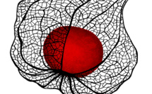 Un stage de danse « singulier »