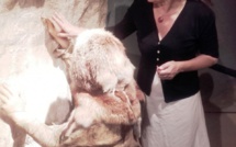 Evénement estival à Quinson : les journées de la préhistoire