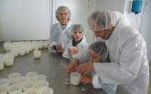 Venez découvrir les secrets de la fabrication des fromages à la ferme des Jassines !