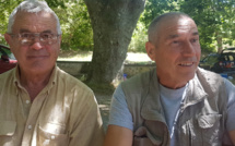 1er juillet 1965 : l'apparition d'un OVNI sur le plateau de Valensole