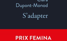 Des Coups au Coeur - S'adapter - Clara Dupont Monod