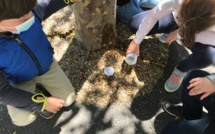 Le Parc du Luberon végétalise des cours d’école