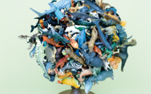 Chronique des nouveautés musicales : Adrien Chicot Quintet et son nouvel album Babyland