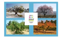 Une association de soutien aux paysans