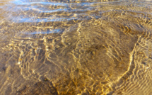 Un stage de vidéo-danse autour de l'"eau"