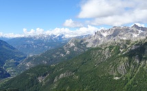 Une aventure associative et environementales: Forêts Alpines !