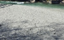 catastrophe écologique dans la DURANCE