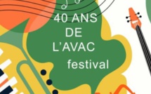 Festival de musique théâtre et danse pour les 40 ans de l'AVAC à Valensole