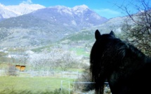 La Petite Ferme des Regains propose de nombreuses nouveautés pour cet été !