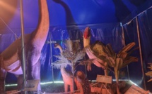 Sur la terre des dinosaures
