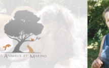 Chez les Animaux et Marino : un lieu magique et engagé à St Andiol