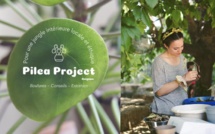 Pilea Project, pour une jungle intérieur locale et éthique