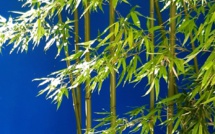 Tiens ? ça sonne...  # 08