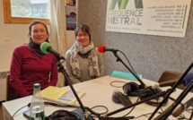 Histoires d'Archives n°7 par Jean-Christophe Labadie.