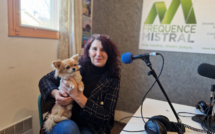 Plumes en vadrouille  n°2 en ligne dès le 15 mars 2024 !