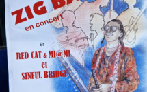 Samedi 13 juillet à la Robine sur Galabre - Grand Concert avec ZIG BANG -