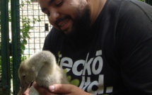 La Bergerie de Faucon dans le Verdon, un lieu privilégié où des jeunes en difficulté retrouvent leur chemin