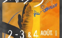 LES 2,3 &amp; 4 août à St- Martin-Les-Eaux, 4eme édition du FESTIVAL DANSES "RE-SOURCES" !