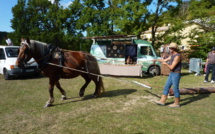 Le bois : une richesse à préserver et exploiter. La Fête du bois a lieu ce week-end à la Martre