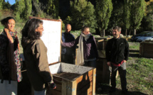 Au pas, au trot, au galop avec la semaine hippomobile pour la collecte des bio-déchets