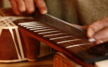 Un luthier gapençais révèle son art