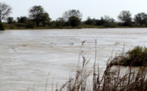 Un fonds de concours a fait débat hier à la DLVA