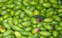 Le Moulin de l'Olivette en fête !