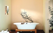 Rencontre à Gap avec Katia Lefort, adepte du Feng Shui