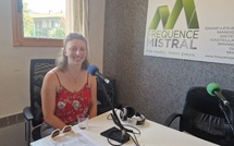 Bat Friday : une soirée découverte des chauves-souris à Valensole