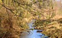 Que sont les laves torrentielles ?