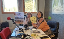 Nos rendez-vous avec les Rencontres Cinématographiques pour novembre 2025