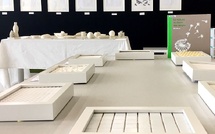 La Nature au bout des doigts, exposition tactile à la Médiathèque