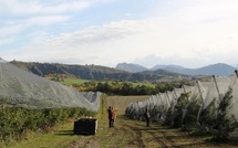 Loco du Bio EP#14 - Famille Megy : Le GAEC de la Maurelle