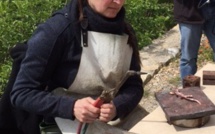 Elsa invite les visiteurs de Bargème à voyager dans le monde chimérique de Britta Roesler