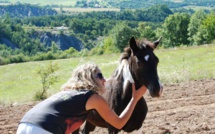 Marlène est éleveuse de chevaux : un métier et une passion