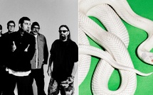 Bouge ton Algo - Deftones !