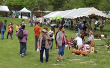 La fête du Narcisse pour célébrer le printemps à La Martre