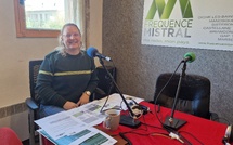 Au plus près de la réalité de la forêt