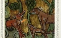 Renard, renart ou goupil ?