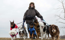 MERCREDI 22 JUIN 2016 : DE TOILE EN TOILE - CHRONIQUE DÉDIÉE AU 7ÈME ART
