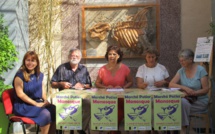 7ème marché potier à Manosque